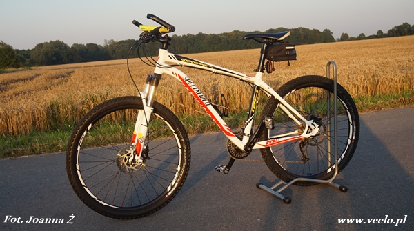 ROW201 Specjalized